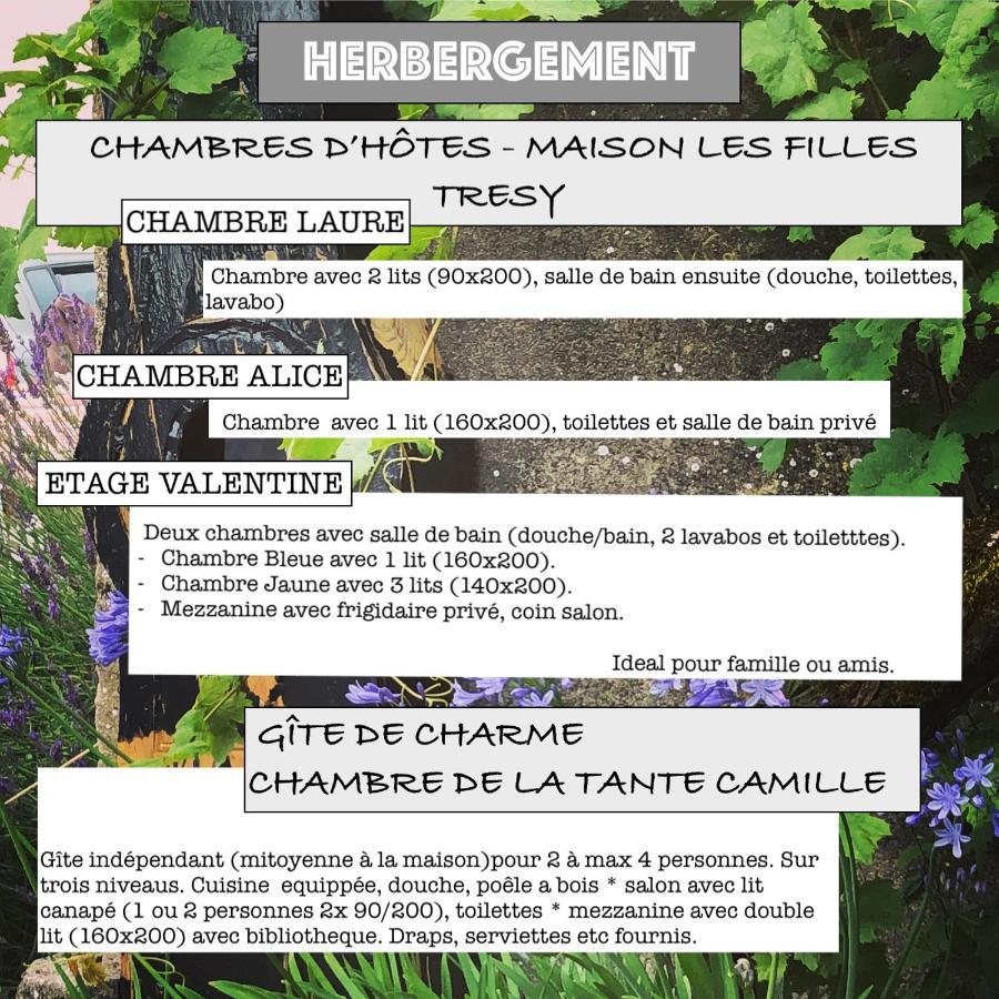 Chambres D Hotes Les Filles Tresy Passenans Zewnętrze zdjęcie