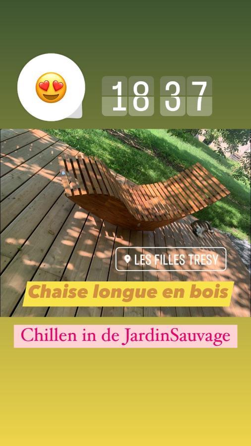 Chambres D Hotes Les Filles Tresy Passenans Zewnętrze zdjęcie